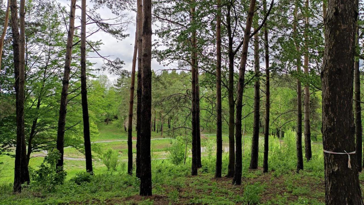 Green Village Mykolaivka  Экстерьер фото